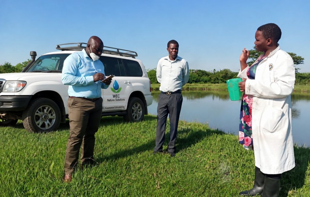 Environmental Assessment