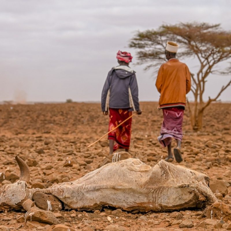 Seasonal Drought Monitoring and Mapping in Kenya