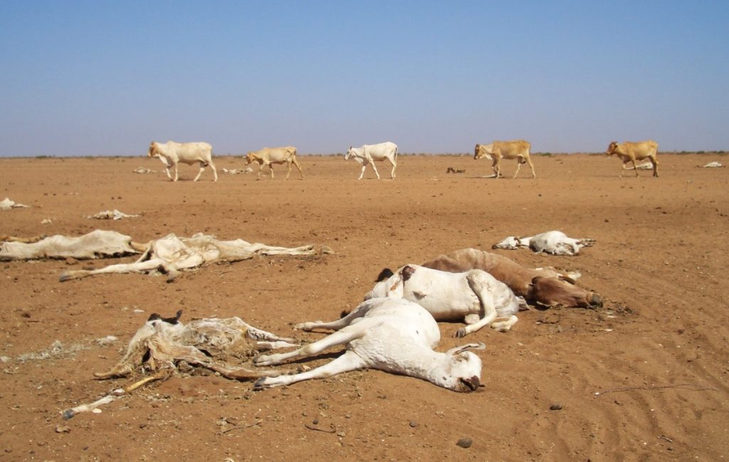 climate risk