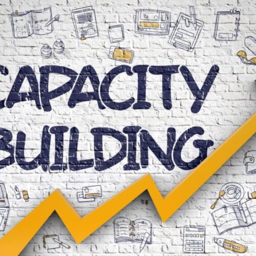 capacity-building-1000x565